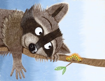 Raccoon's Friend