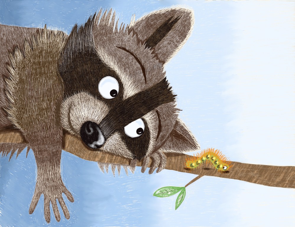 Raccoon's Friend