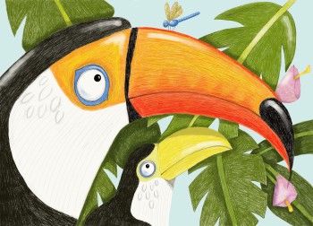 Toucans