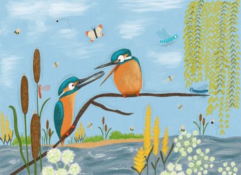 Kingfishers