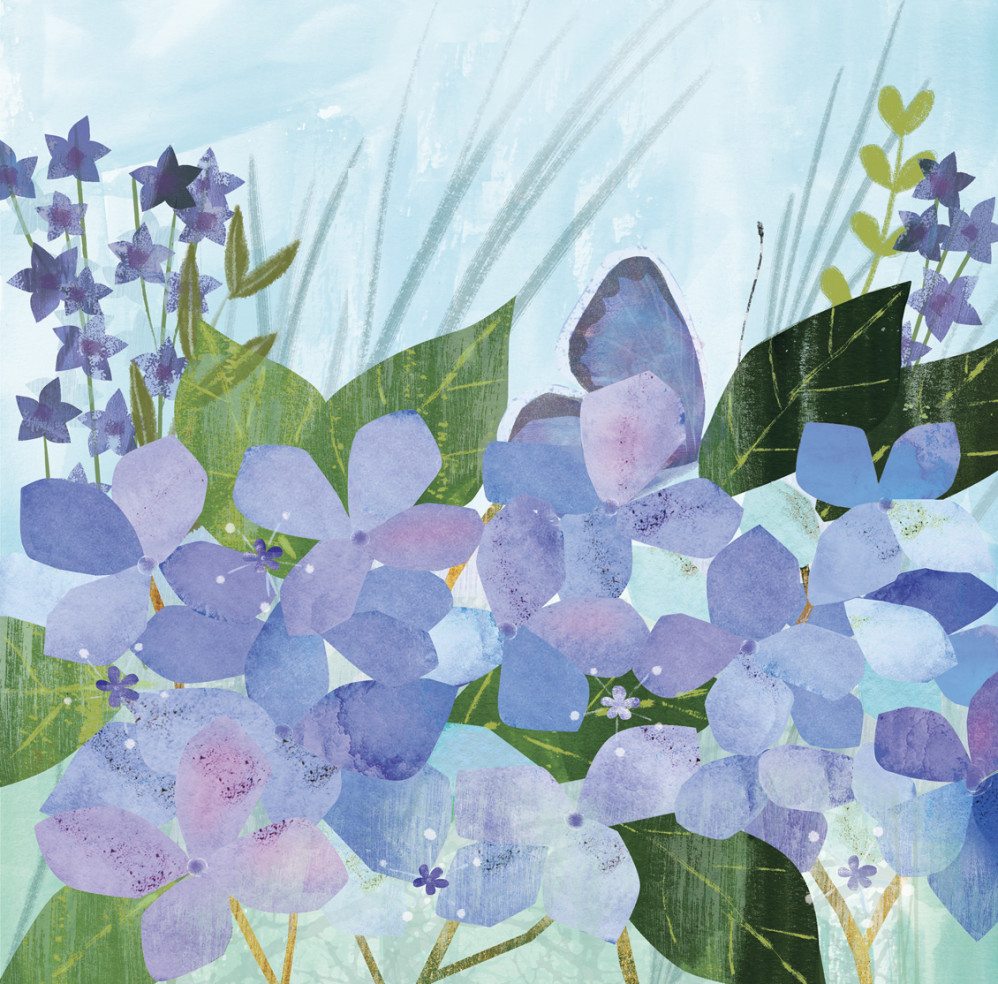 Hidden Butterfly