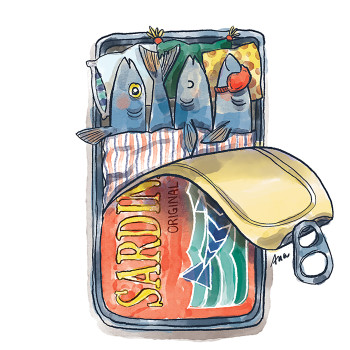 Sardines