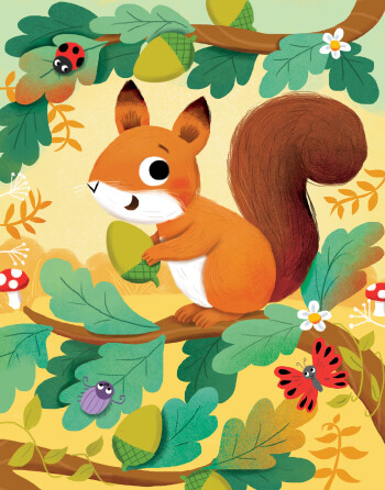 Squirrel illustration