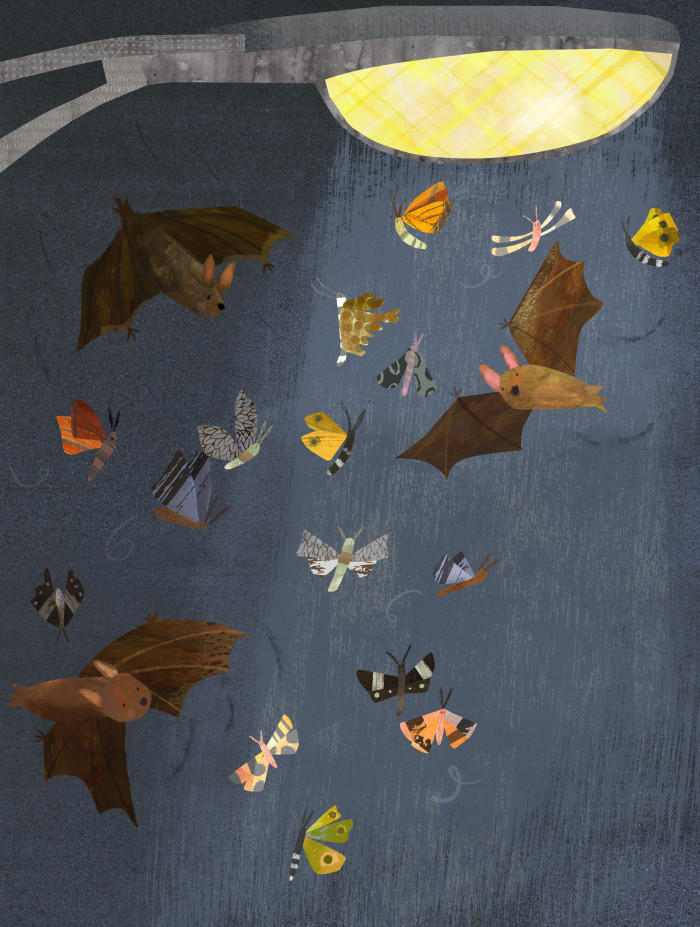 Bat Breakfast