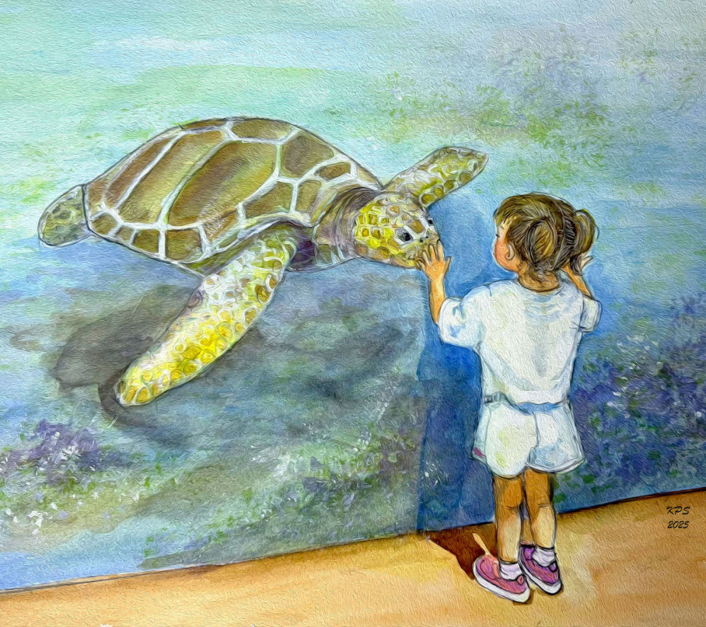 Sea Turtle Love
