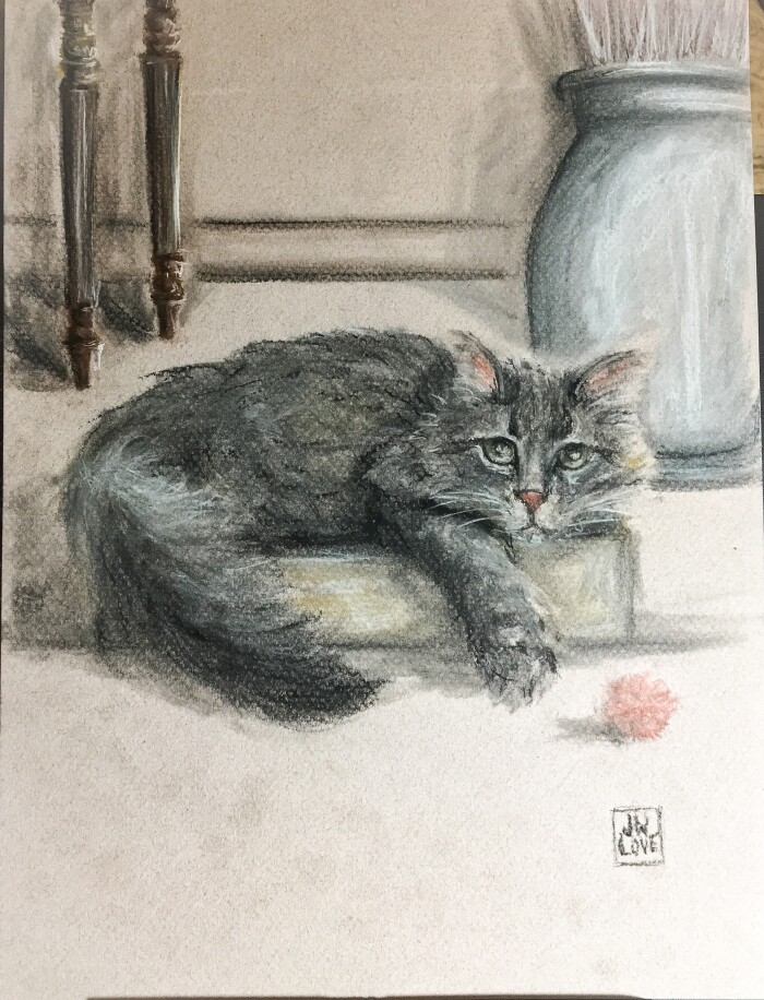 Cat with Toy