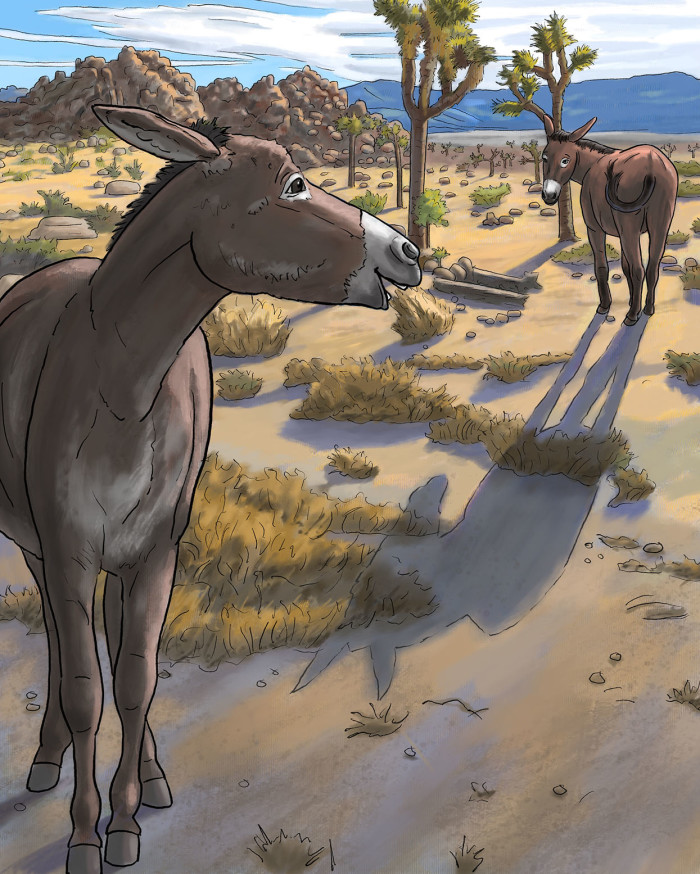 The Racing Mule