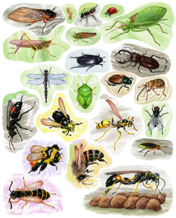 Insects and Spiders stickers Pg 2