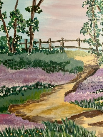 Fields of purple flowers
