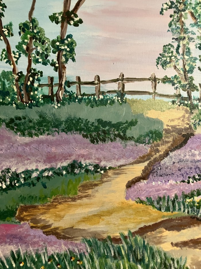 Fields of purple flowers