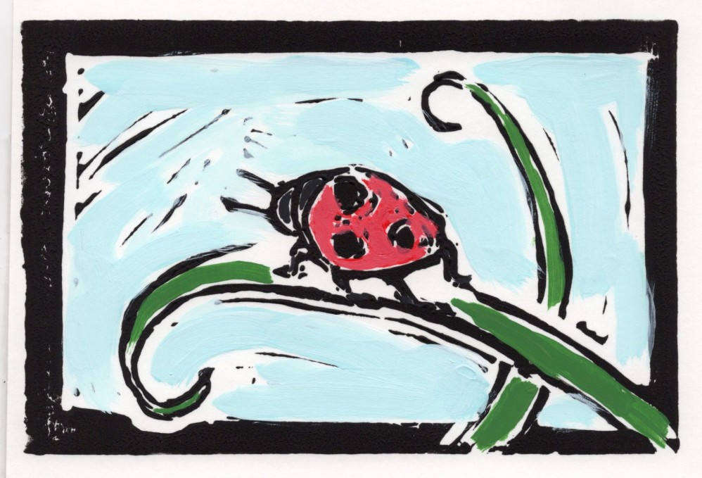 Ladybug in Color