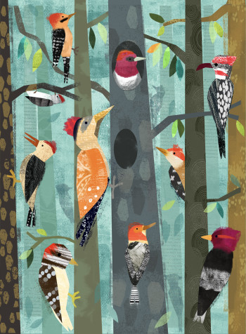 Woodpeckers