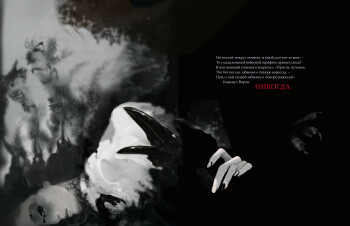 The raven