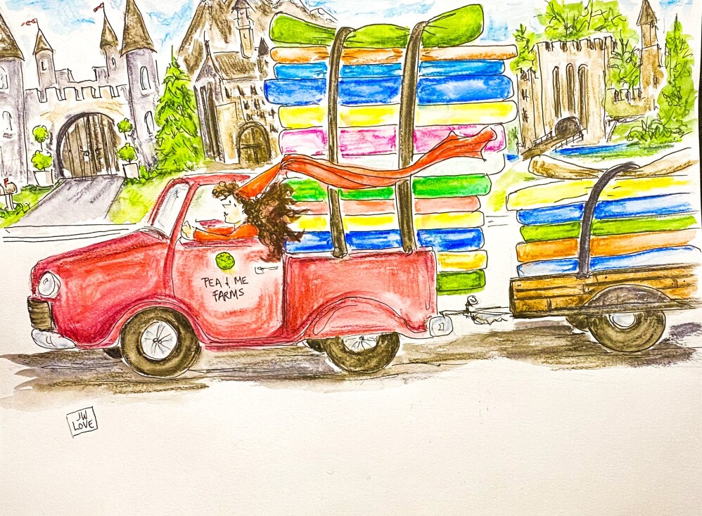 Princess and the Pea Business