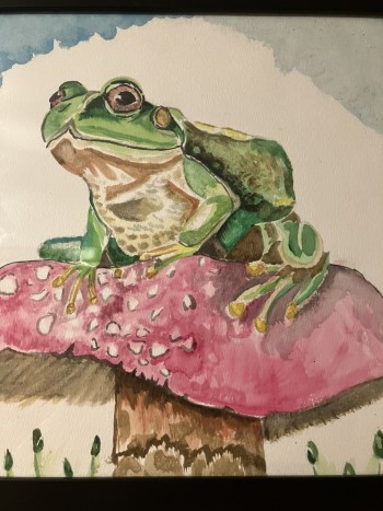 Fantasy Frog on Mushroom