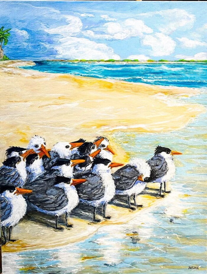 Royal Terns