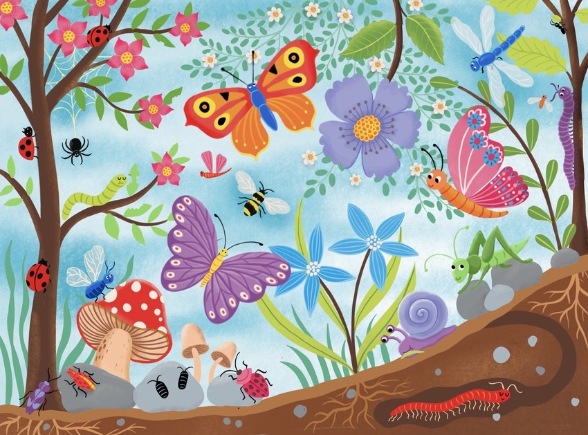Mini Beast Garden – Nature Exploration Illustration