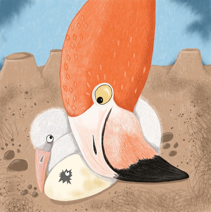 Flamingos