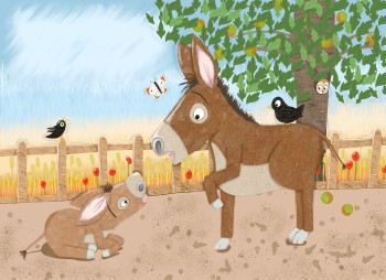 Donkeys