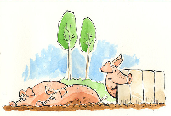 Zippy the Pig