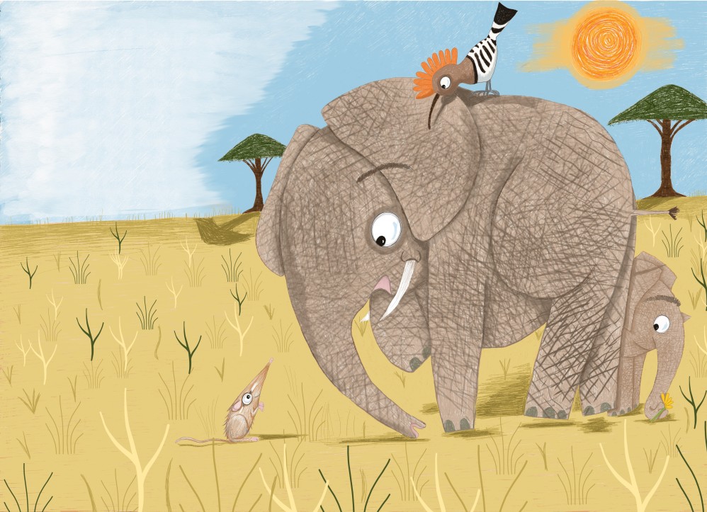 The Elephant & Elephant Shrew