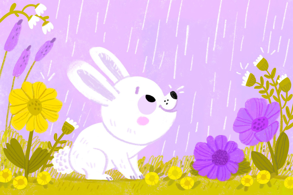 Spring Rain