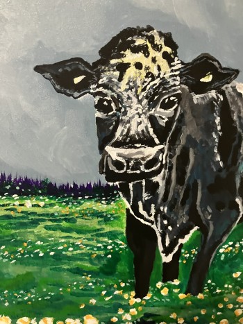 Black Moon Cow