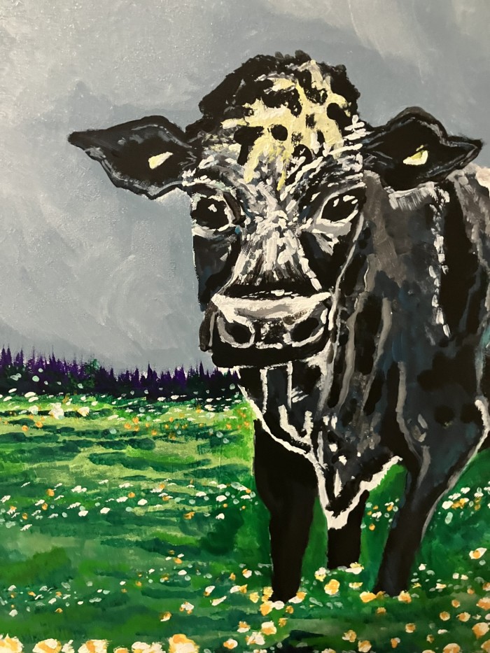 Black Moon Cow