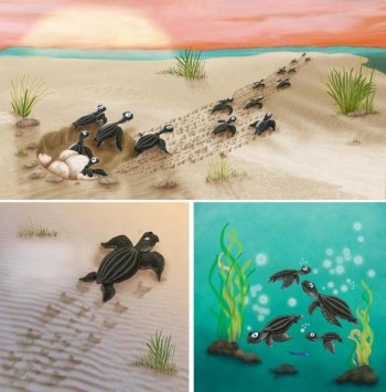 Sea Turtle