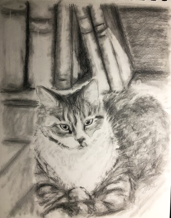 Cleo