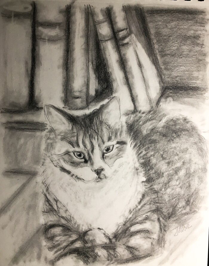 Cleo