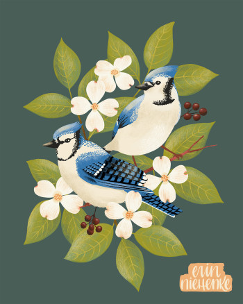 Blue Jays and Dogwood