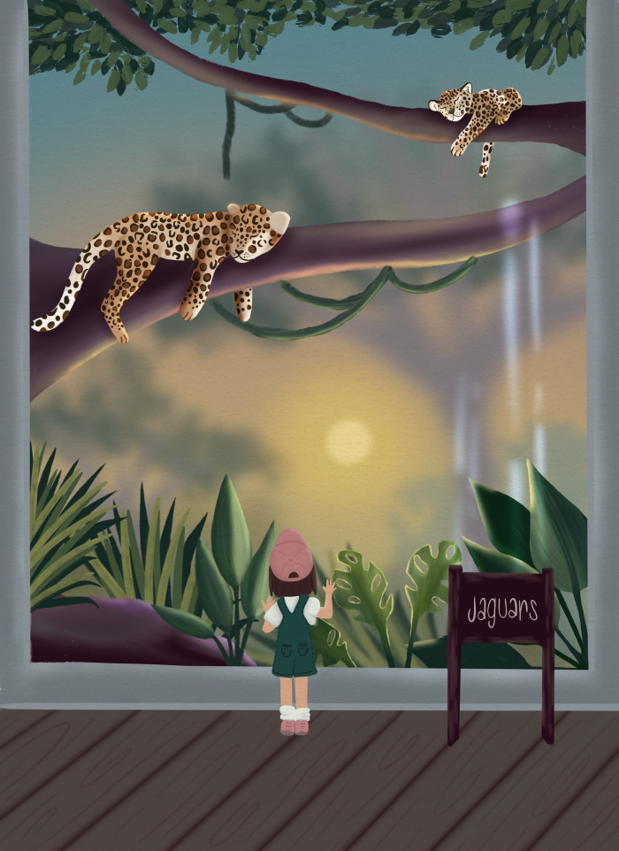 A Day at the Zoo