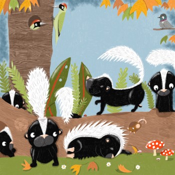 Baby Skunks