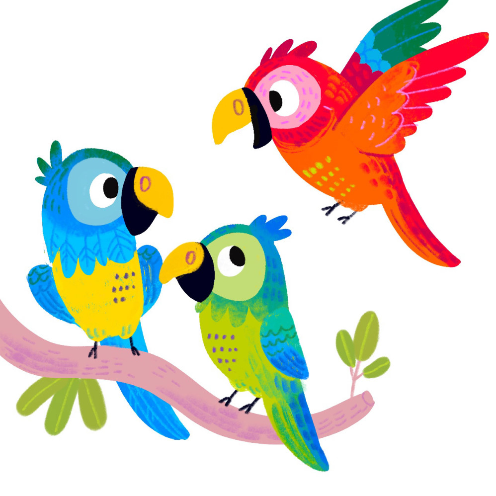 Cute Parrots Sitting on a Branch