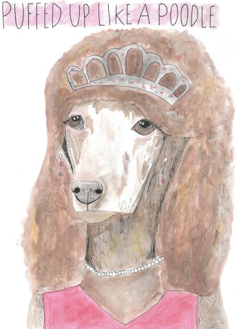 Poodle Water Colour  and Fine Liner Illustration