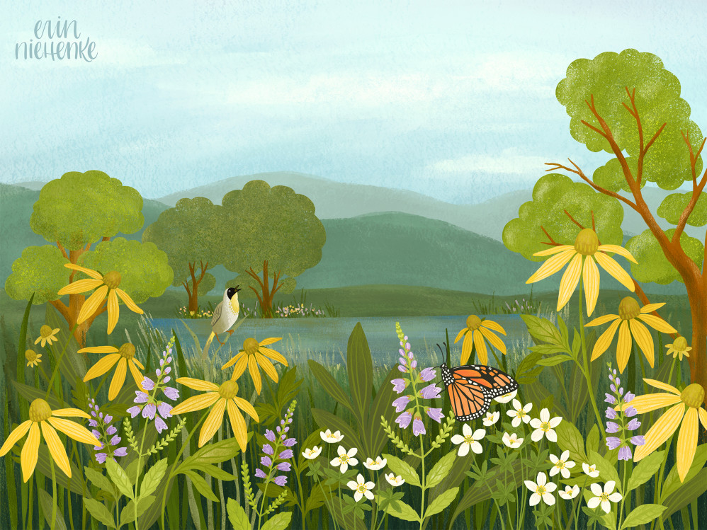 Native Plant Landscape