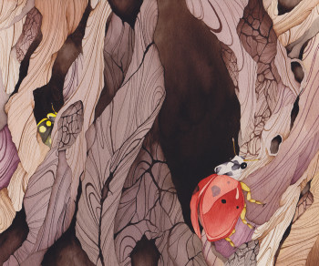 Ladybirds Loving Logs
