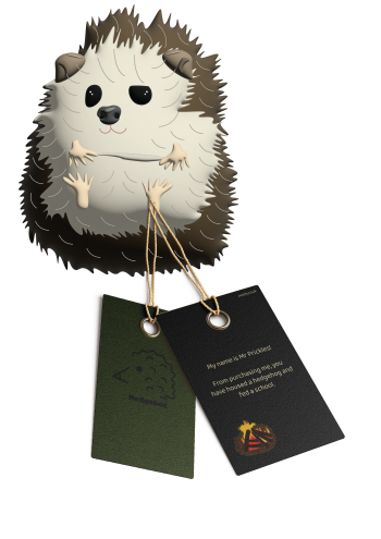 Hedgehog Cereal Box Toy Design