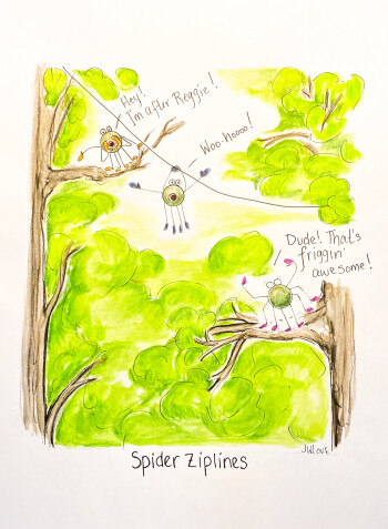 Zipline Spiders