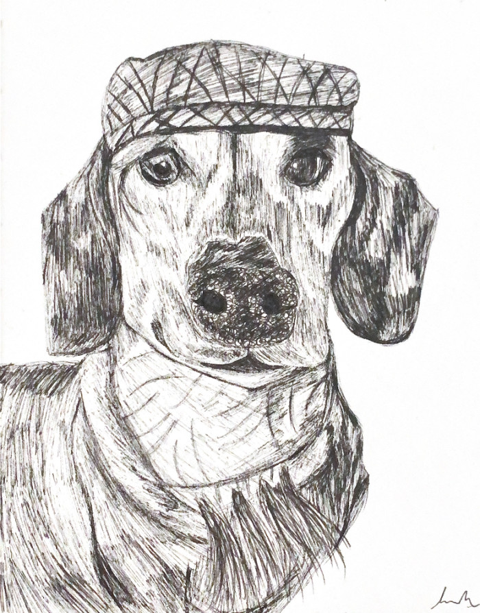 Sausage Dog Fine Liner Drawing
