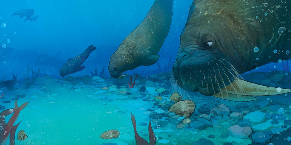 Grandfather Bowhead