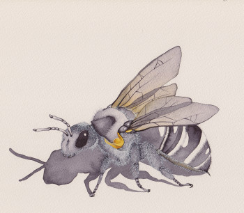 Bee