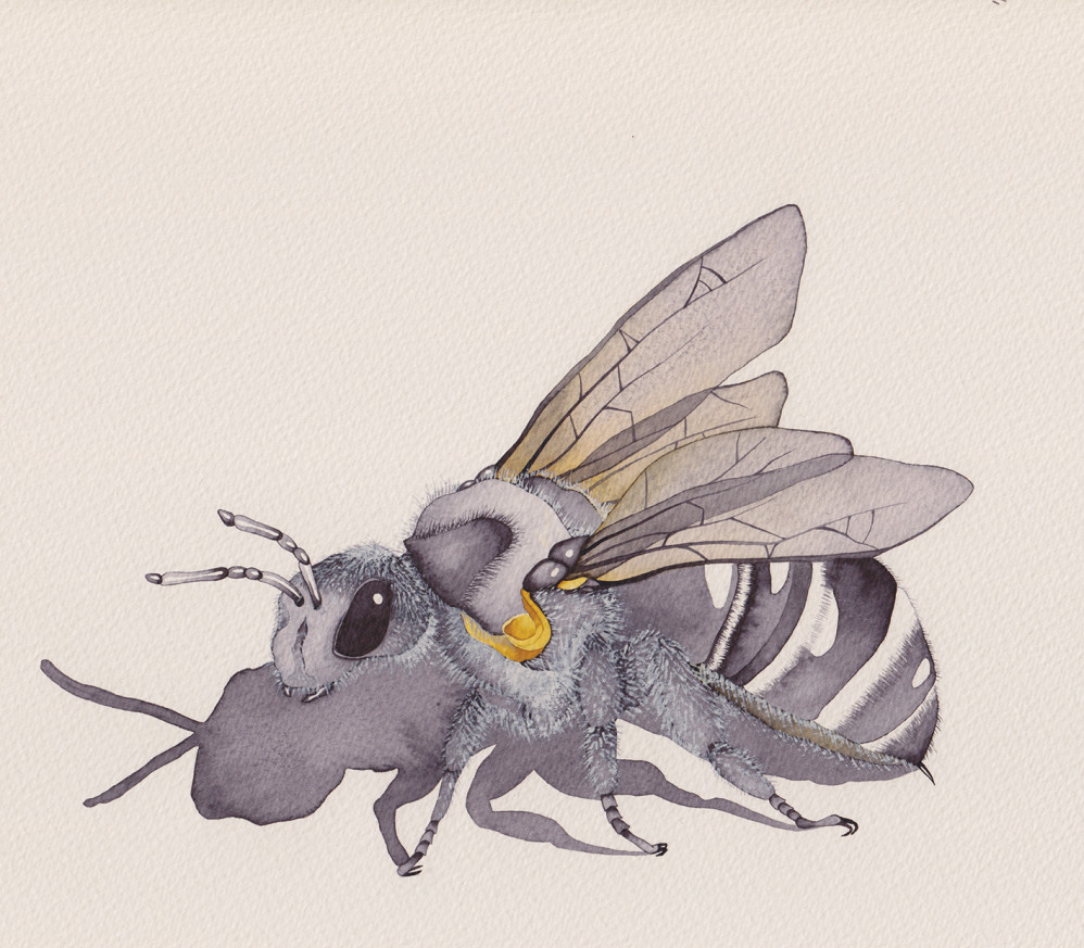 Bee