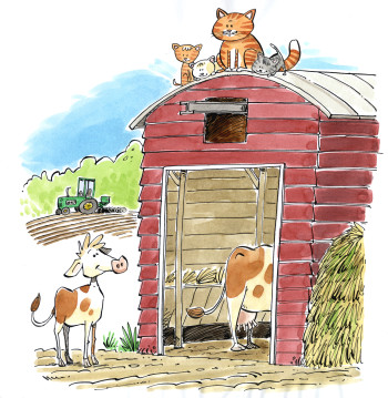 A Day At The Farm