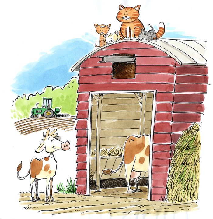A Day At The Farm