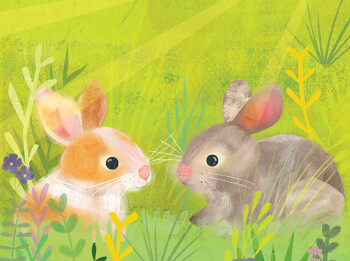 Bunnies