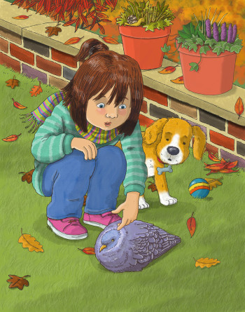 Pets