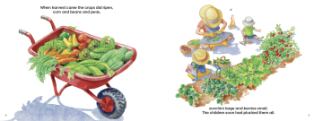 The Sugar Garden