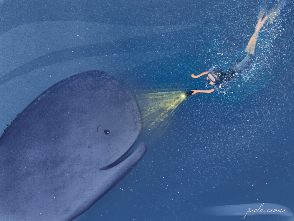 the meeting at the bottom of the sea